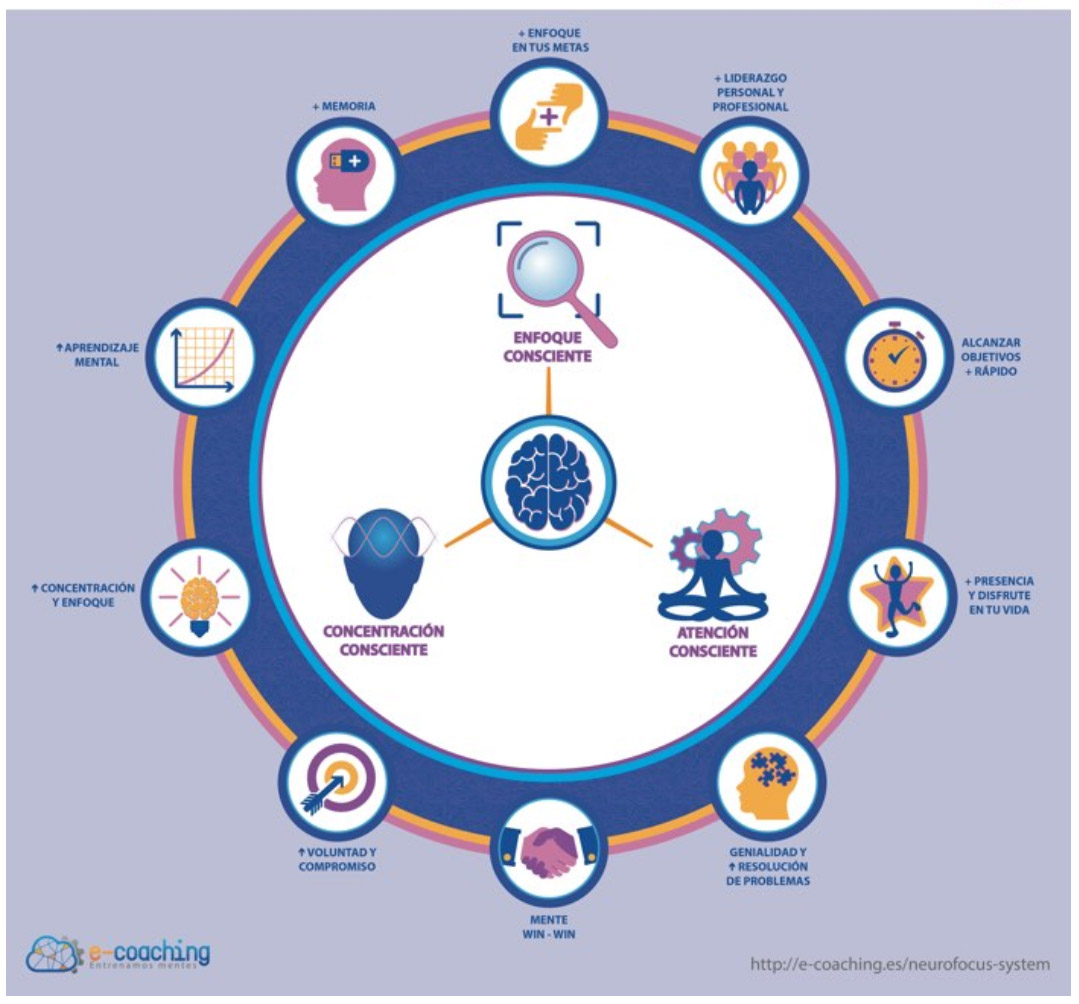 Neurofocus NEUROFOCUS SYSTEM – Entrena tu mente con David Gómez Coach