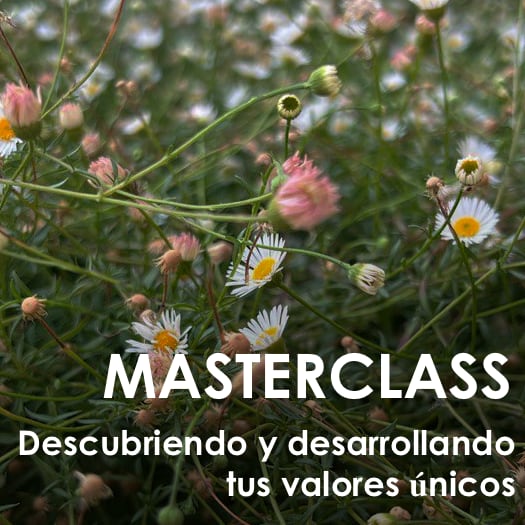Masterclass Descubriendo y Desarrollando Tus Valores Únicos David Gómez